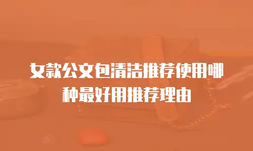 女款公文包清洁推荐使用哪种最好用推荐理由