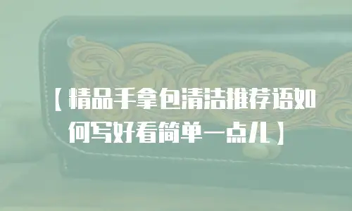 【精品手拿包清洁推荐语如何写好看简单一点儿】