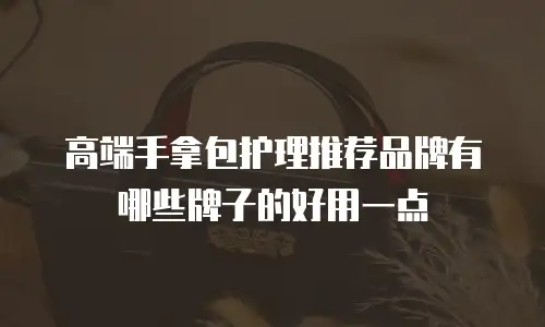 高端手拿包护理推荐品牌有哪些牌子的好用一点