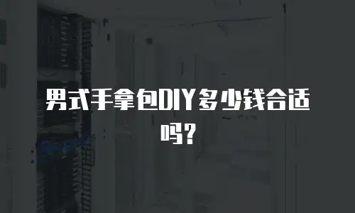 男式手拿包DIY多少钱合适吗？