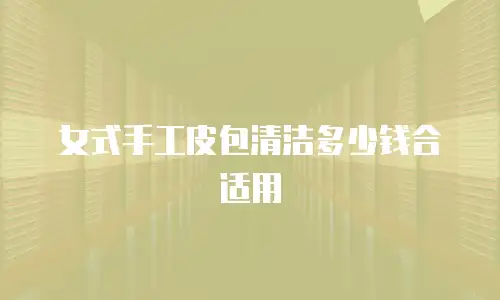 女式手工皮包清洁多少钱合适用