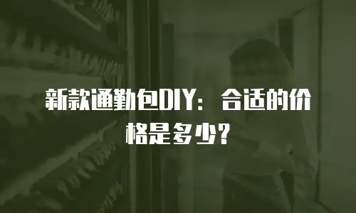 新款通勤包DIY：合适的价格是多少？