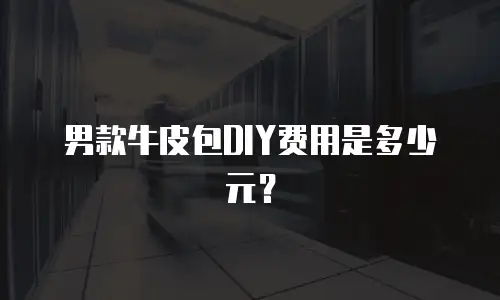 男款牛皮包DIY费用是多少元？