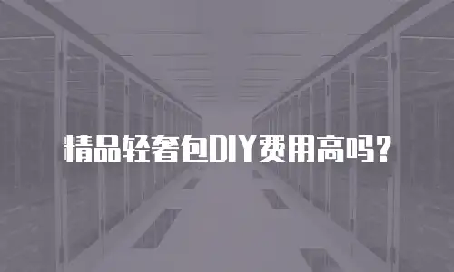 精品轻奢包DIY费用高吗？