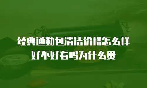 经典通勤包清洁价格怎么样好不好看吗为什么贵