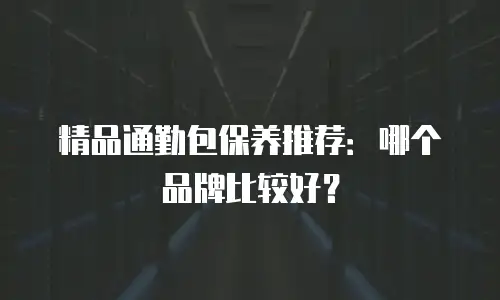 精品通勤包保养推荐：哪个品牌比较好？