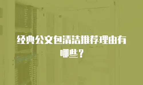 经典公文包清洁推荐理由有哪些？