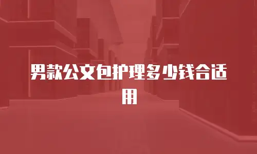 男款公文包护理多少钱合适用