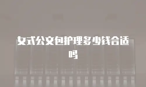 女式公文包护理多少钱合适吗