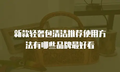 新款轻奢包清洁推荐使用方法有哪些品牌最好看