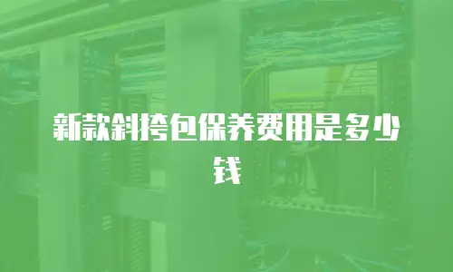 新款斜挎包保养费用是多少钱