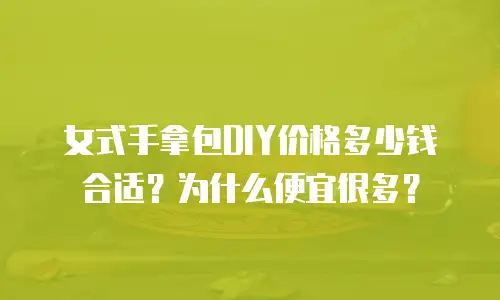 女式手拿包DIY价格多少钱合适？为什么便宜很多？