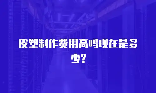 皮塑制作费用高吗现在是多少？