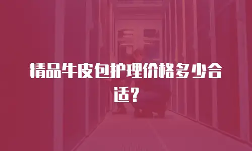 精品牛皮包护理价格多少合适？