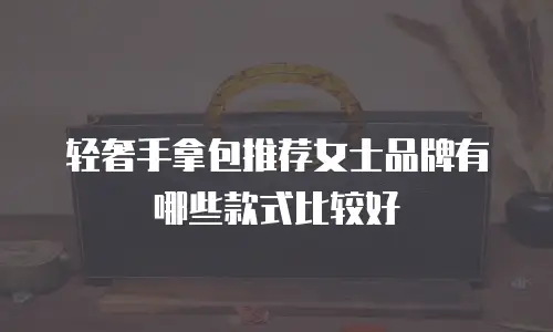 轻奢手拿包推荐女士品牌有哪些款式比较好