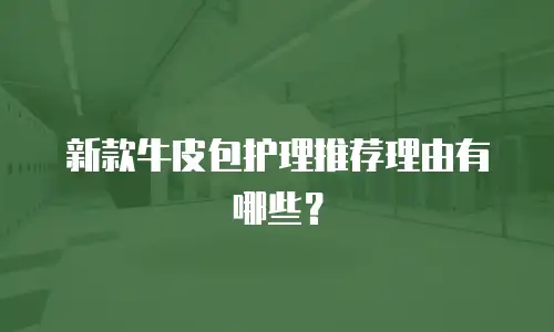 新款牛皮包护理推荐理由有哪些？