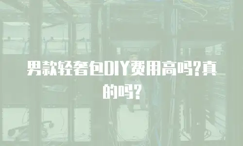 男款轻奢包DIY费用高吗?真的吗?