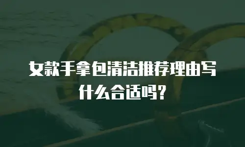 女款手拿包清洁推荐理由写什么合适吗？
