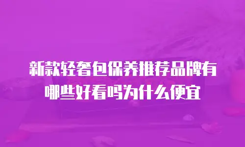 新款轻奢包保养推荐品牌有哪些好看吗为什么便宜