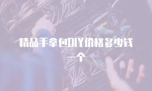精品手拿包DIY价格多少钱一个