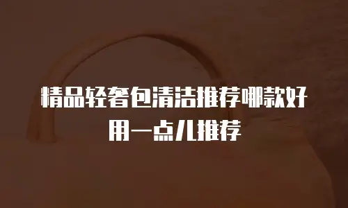精品轻奢包清洁推荐哪款好用一点儿推荐
