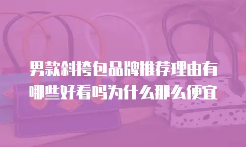 男款斜挎包品牌推荐理由有哪些好看吗为什么那么便宜