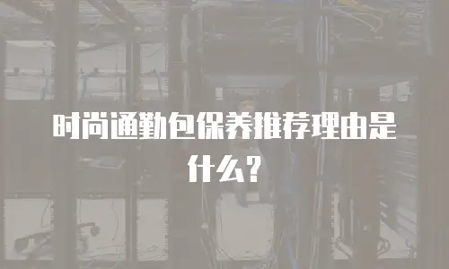 时尚通勤包保养推荐理由是什么？