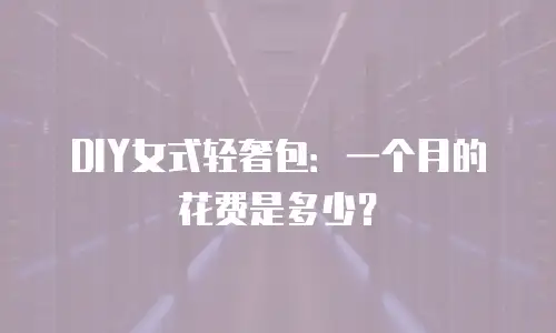 DIY女式轻奢包：一个月的花费是多少？

