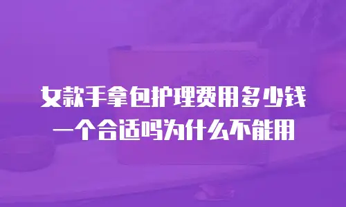 女款手拿包护理费用多少钱一个合适吗为什么不能用