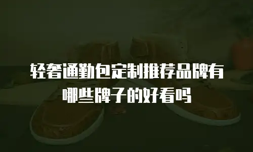 轻奢通勤包定制推荐品牌有哪些牌子的好看吗