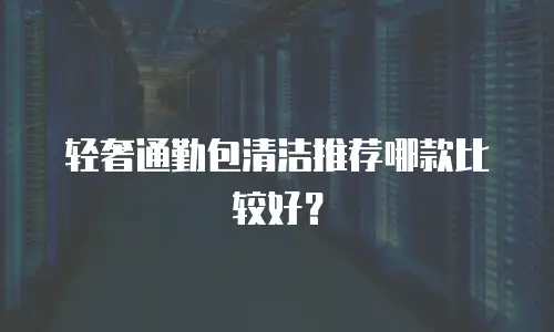 轻奢通勤包清洁推荐哪款比较好？