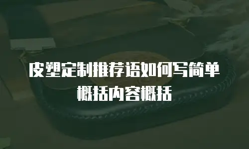 皮塑定制推荐语如何写简单概括内容概括