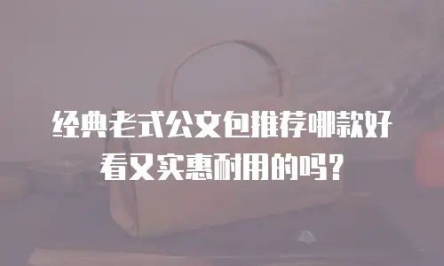 经典老式公文包推荐哪款好看又实惠耐用的吗？