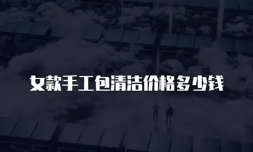 女款手工包清洁价格多少钱
