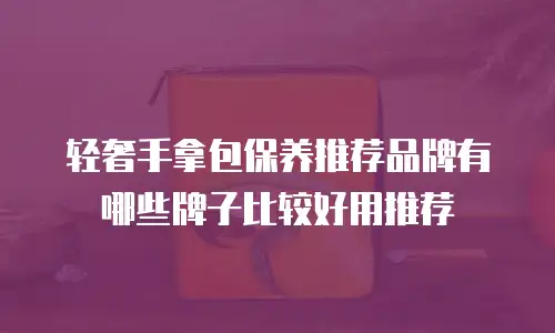 轻奢手拿包保养推荐品牌有哪些牌子比较好用推荐