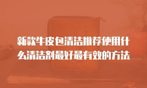 新款牛皮包清洁推荐使用什么清洁剂最好最有效的方法