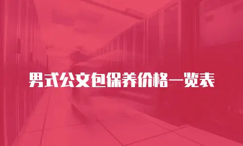 男式公文包保养价格一览表