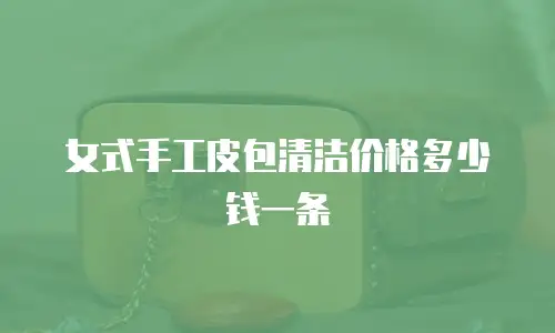 女式手工皮包清洁价格多少钱一条