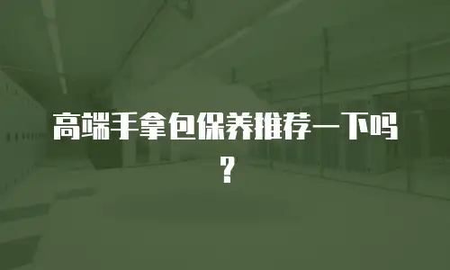 高端手拿包保养推荐一下吗？