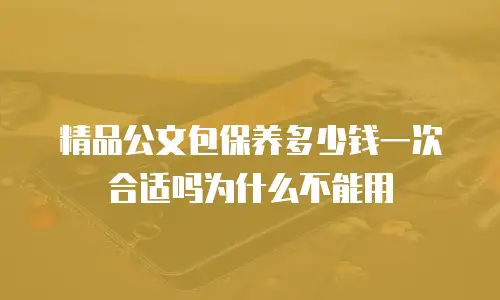 精品公文包保养多少钱一次合适吗为什么不能用