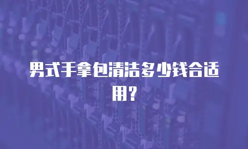 男式手拿包清洁多少钱合适用？
