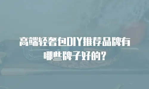 高端轻奢包DIY推荐品牌有哪些牌子好的？