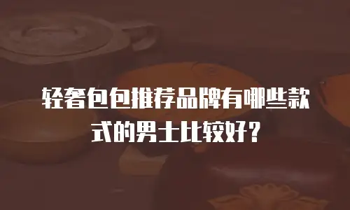 轻奢包包推荐品牌有哪些款式的男士比较好？