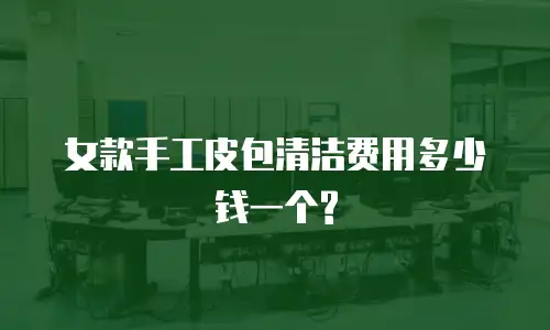 女款手工皮包清洁费用多少钱一个?