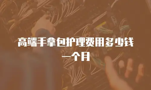 高端手拿包护理费用多少钱一个月