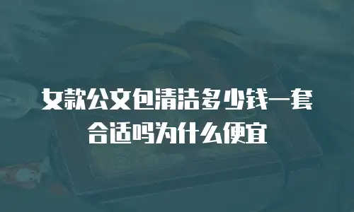 女款公文包清洁多少钱一套合适吗为什么便宜