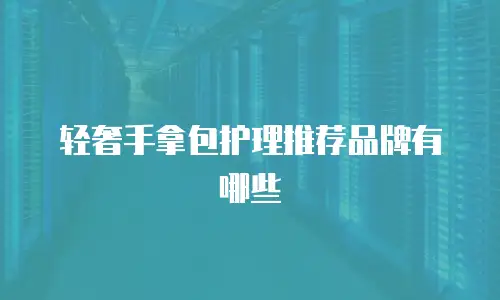 轻奢手拿包护理推荐品牌有哪些