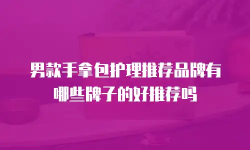 男款手拿包护理推荐品牌有哪些牌子的好推荐吗