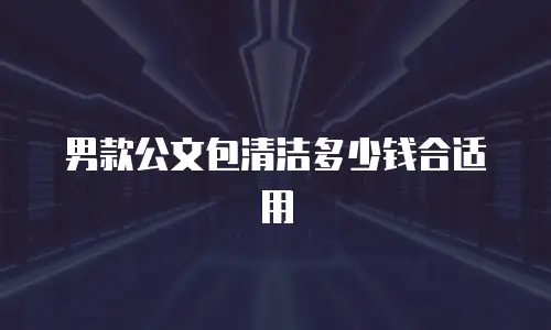 男款公文包清洁多少钱合适用