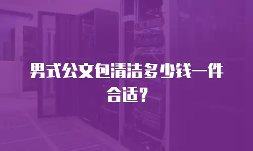 男式公文包清洁多少钱一件合适？